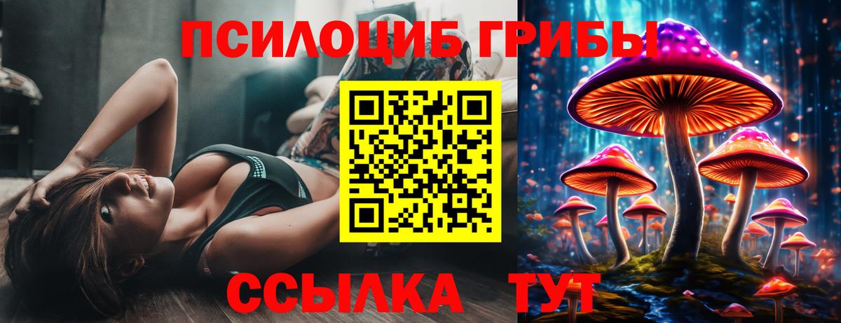 Галлюциногенные грибы Cubensis  Псилоцибиновые грибы MAGIC MUSHROOMS  Искитим  Вход с VPN 